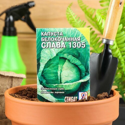 Семена Капуста белокочанная 'Слава 1305', 0,5 г