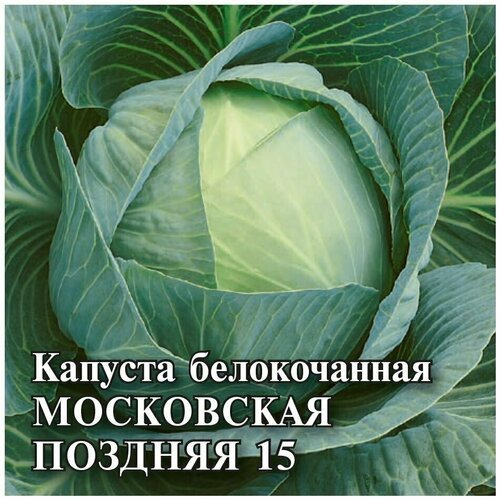 Гавриш, Семена для фермера Капуста белокочанная, Московская поздняя (для квашения) 10 грамм