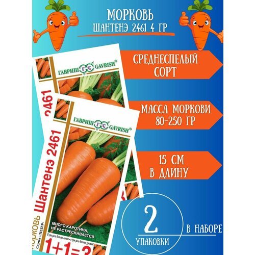 Морковь Шантенэ 2461 2 шт