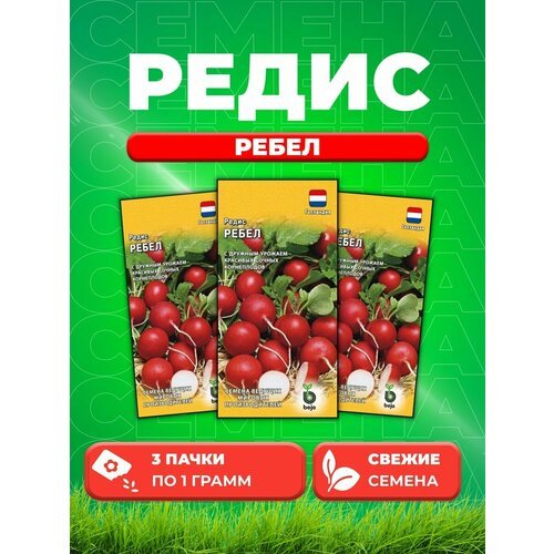 Редис Ребел 1,0 г (Голландия) (3уп)