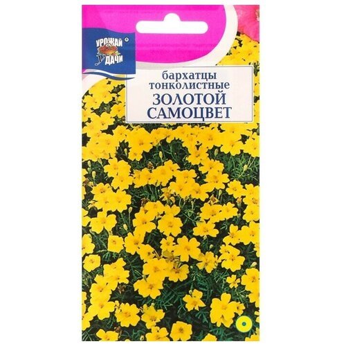 Семена цветов Бархатцы тонколистные Золотой Самоцвет, 0,1 г 6 упаковок