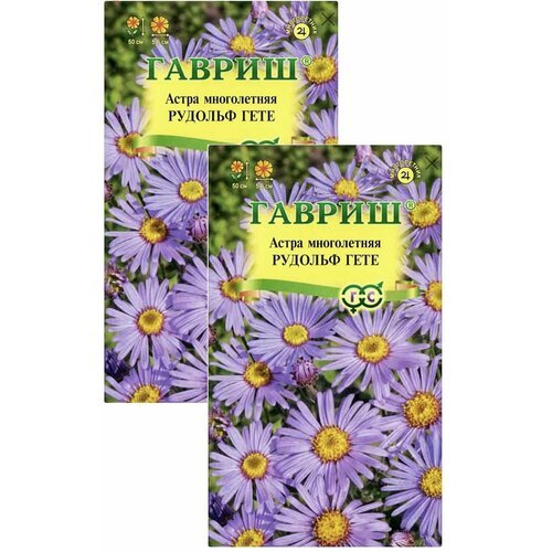 Астра итальянская Рудольф Гете, 2 пакета, семена 0,05 гр, Гавриш, многолетняя