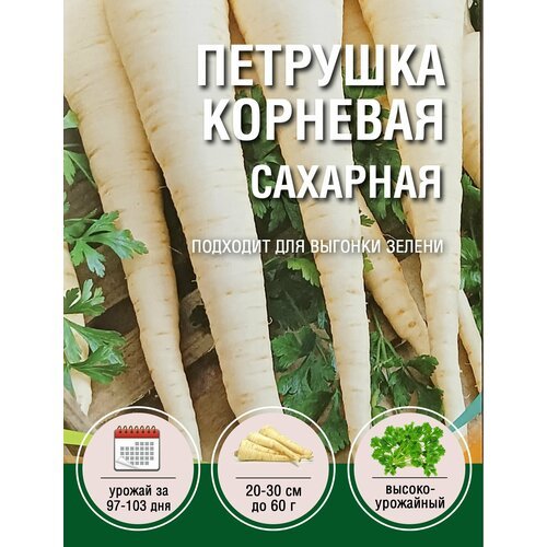 Петрушка Корневая Сахарная (1 пакет по 2гр)