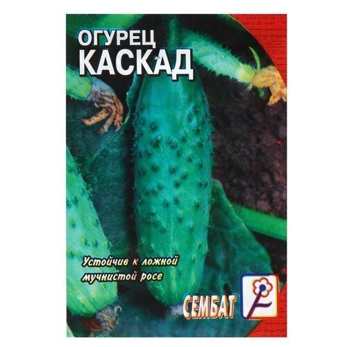 Семена Огурец 'Каскад', 0,5 г (7 шт)