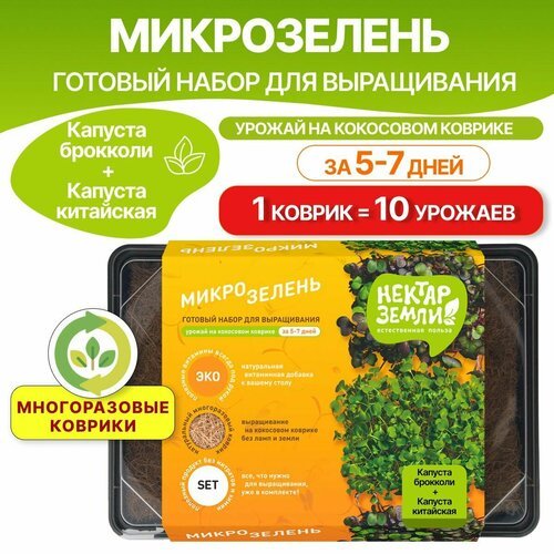 Набор для выращивания микрозелени, Mix 1, капуста брокколи + капуста китайская