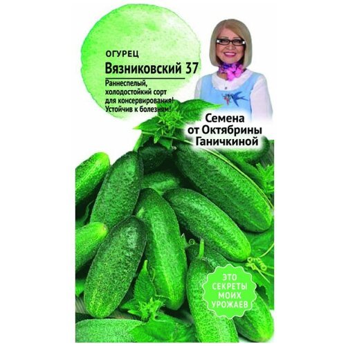 Огурец Вязниковский 37 0,5 гр / семена огурцов для посадки / огурцы для балкона сада дома / овощей
