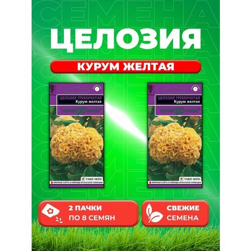 Целозия гребенчатая Курум желтая, 8шт, Takii Seed(2уп)