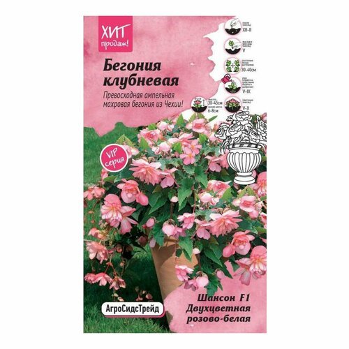Семена Бегонии клубневой Шансон Двухцветная розово-белая F1 5 шт