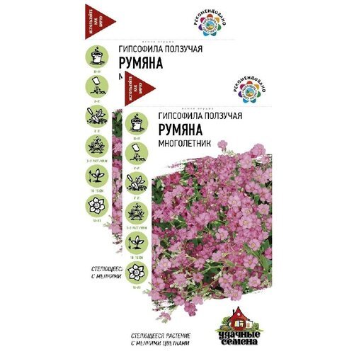 Гипсофила ползучая Румяна (0,05 г), 2 пакета