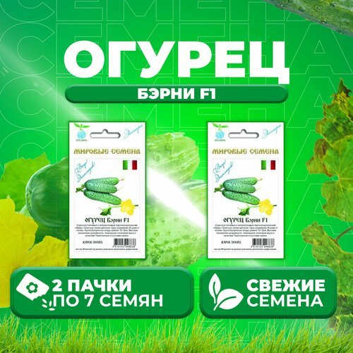 Огурец Бэрни F1, 7шт, Vita Green Экстра, River Seeds (2 уп)