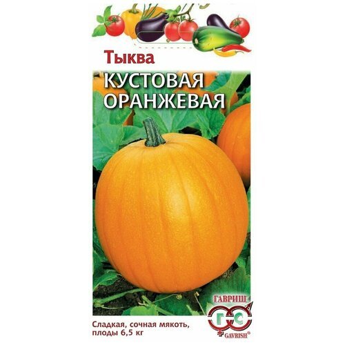 Семена гавриш Тыква Кустовая оранжевая, 1г