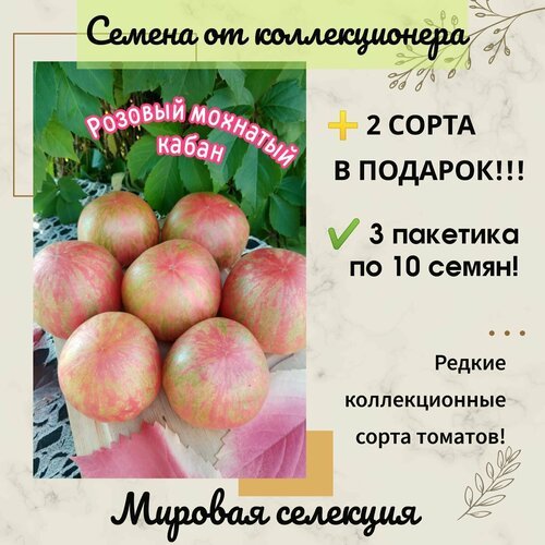 Томат Розовый Мохнатый Кабан, мировая селекция, коллекционный сорт, селекция Брэда Гейтса, США