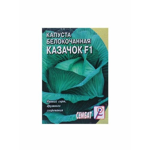 6 упаковок Семена Капуста белокачанная Казачок F1, 0,1 г