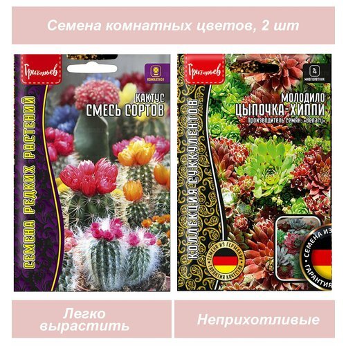 Семена комнатные цветы Кактус и Молодило (Каменная роза)