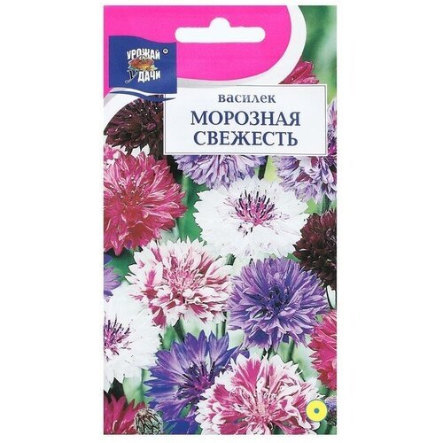 Семена цветов Василек 'морозная свежесть', 0,5 г (3 шт)