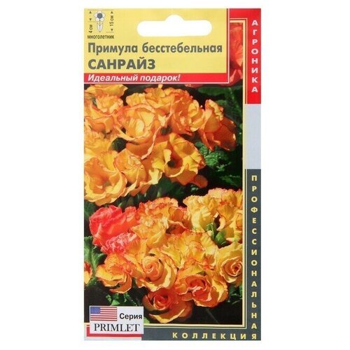 Семена Примула бесстебельная 'Санрайз', 5 шт ( 1 упаковка )