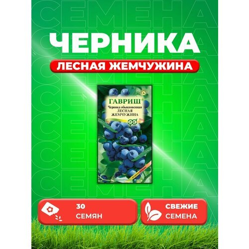 Черника обыкновенная Лесная жемчужина 30 шт.