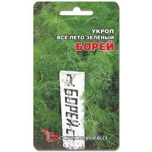 Семена Укроп Борей