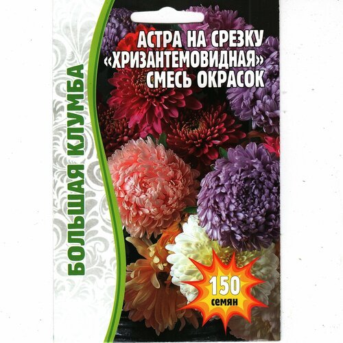 Астра на срезку хризантемовидная, смесь окрасок ( 1 уп: 150 семян )