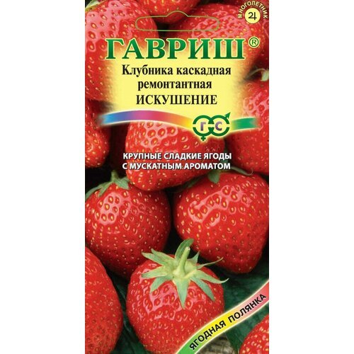 Гавриш, Земляника (Клубника) ампельная Искушение пробирка 10 семян