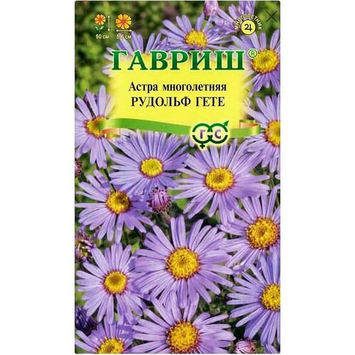 Астра итальянская Рудольф Гете, 1 пакет, семена 0,05 гр, Гавриш, многолетняя