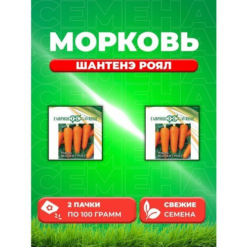 Морковь Шантенэ Роял 100 г (2уп)