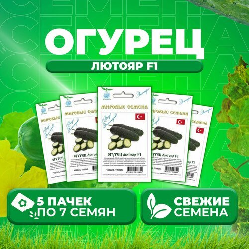 Огурец Лютояр F1, 7шт, Vita Green Экстра, Yuksel Tohum (5 уп)