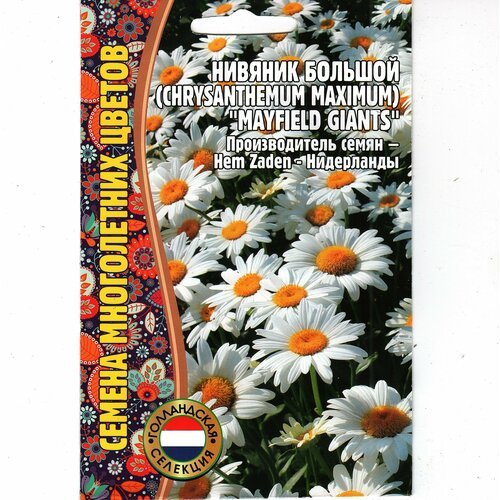 Нивяник Большой / Chrysanthemum maximum, многолетник ( 1 уп: 0.2 г семян )