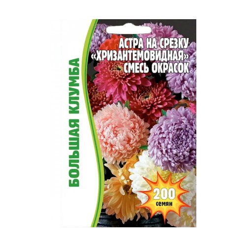 Астра - Хризантемовая смесь, 150 штук (2 уп)'Редкие семена'