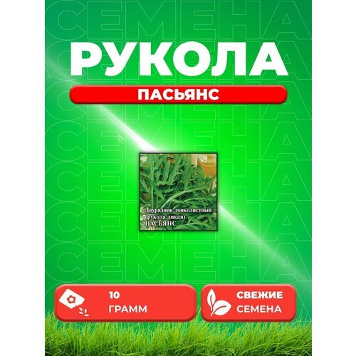 Двурядник тонколистный (Рукола дикая) Пасьянс 10,0 г