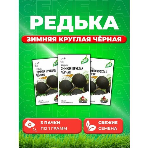 Редька Зимняя круглая чёрная 1 г ХИТ х3 (3уп)