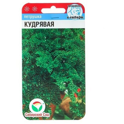 Семена Петрушка 'Кудрявая', 1 г в комлпекте 7, упаковок(-ка/ки)