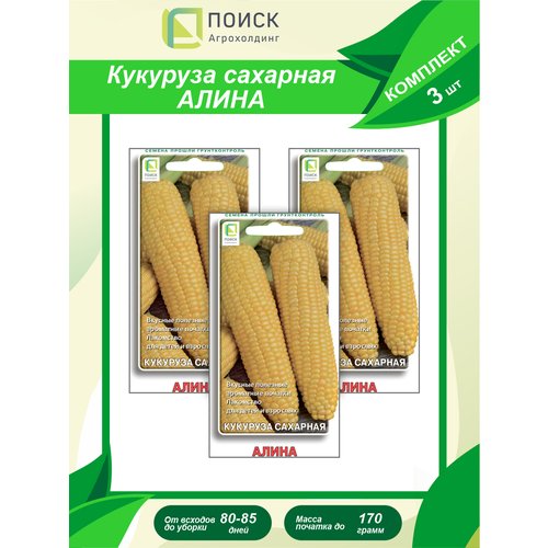 Комплект семян Кукуруза сахарная Алина х 3 шт.