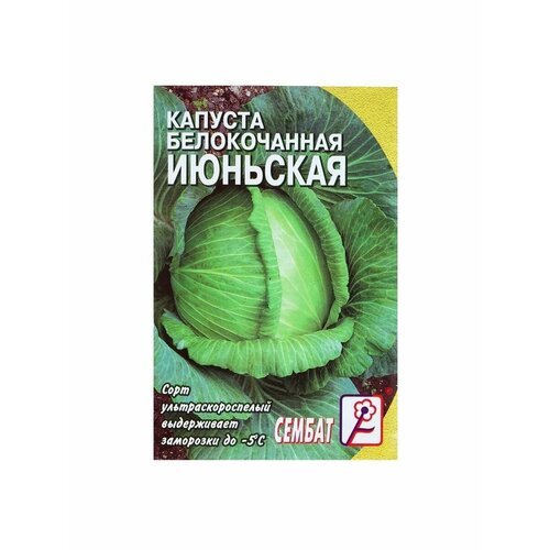 6 упаковок Семена Капуста белокачанная Июньская, 0,5 г