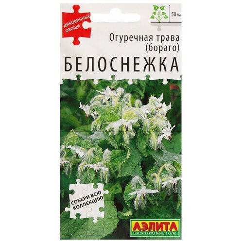 Семена Огуречная трава 'Белоснежка', ц/п, 0,3 г (3 шт)