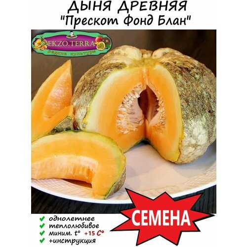 Семена Дыня Прескот Фонд Блан 7 шт.