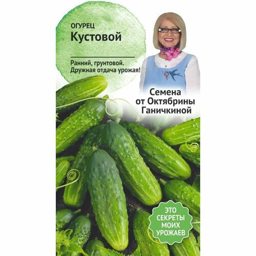 Огурец семена октябрина ганичкина Кустовой