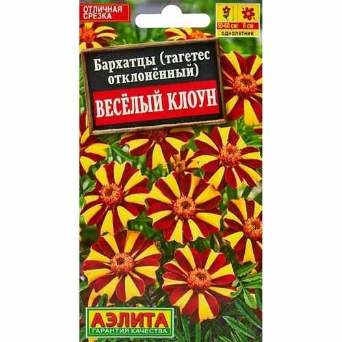 Бархатцы Веcелый клоун h23 см