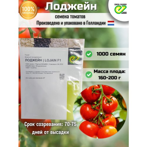 Лоджейн F1 - семена томатов, 1 000 семян, Enza Zaden