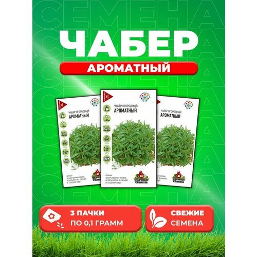 Чабер огородный Ароматный 0,1 г. Удачные семена(3уп)