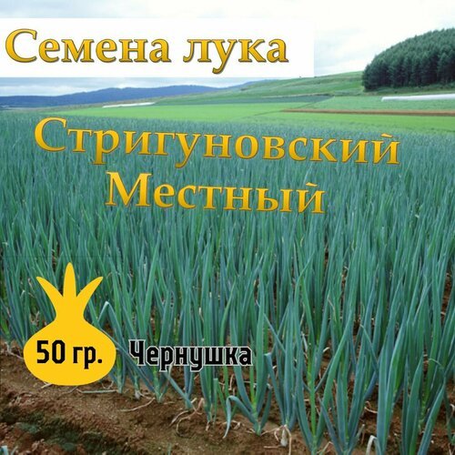 Семена лука чернушка Стригуновский Местный,50гр