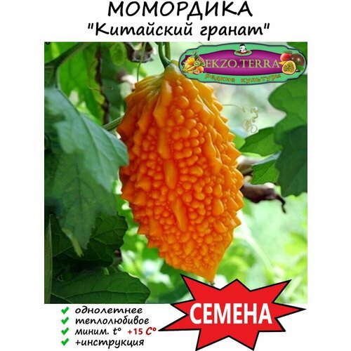 Семена Момордика, Китайский гранат 3 шт.