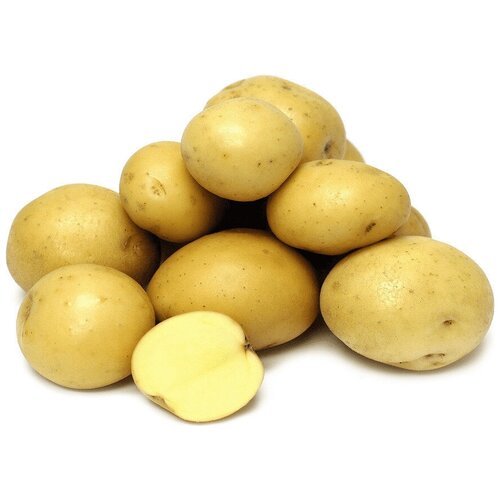 Картофель семенного типа 'Гала', 5 кг в сетке, устойчивый к повреждениям, обладает отменным картофельным ароматом. Высокая урожайность