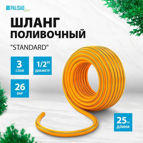 Шланг PALISAD Standard (67654), 1/2', 25 м