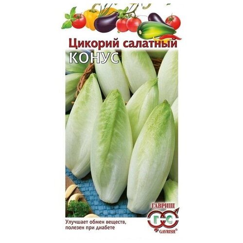 Семена Гавриш Цикорий салатный (Витлуф) Конус 0,1 г, 10 уп.