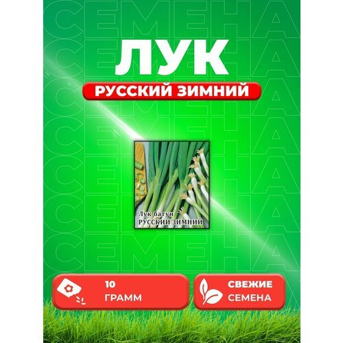 Лук батун Русский зимний 10,0 г