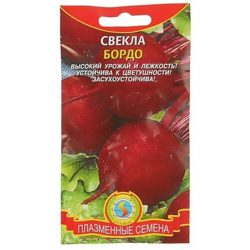 Семена Свекла 'Бордо', 2,5 г