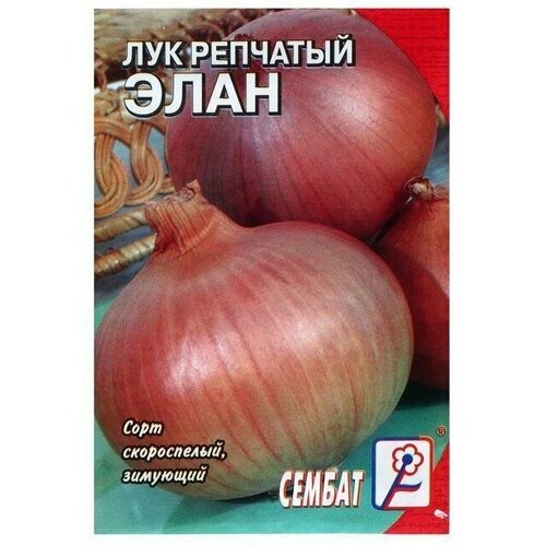 Семена Лук репчатый Элан, 0,2 г (5 упаковок)