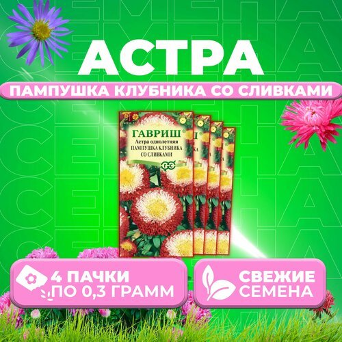 Астра Пампушка клубника со сливками, помпонная, 0,3г, Гавриш, Цветочная коллекция (4 уп)