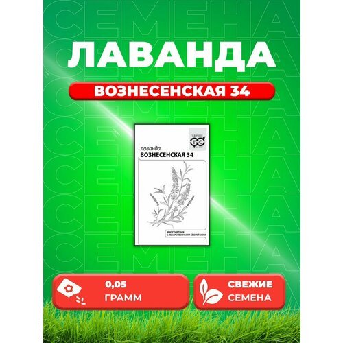 Лаванда узколистная Вознесенская 34 0,05г. б/п с евроотв.